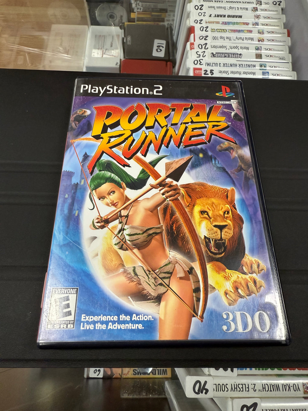 Portal Runner