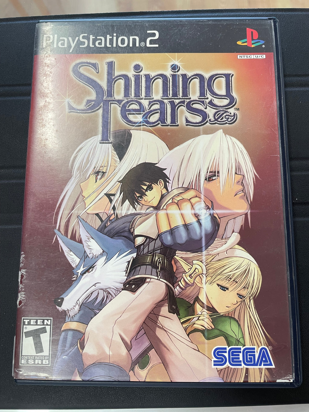 Shining Tears