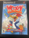 Woody Woodpecker: Escape From Buzz Buzzard Park
