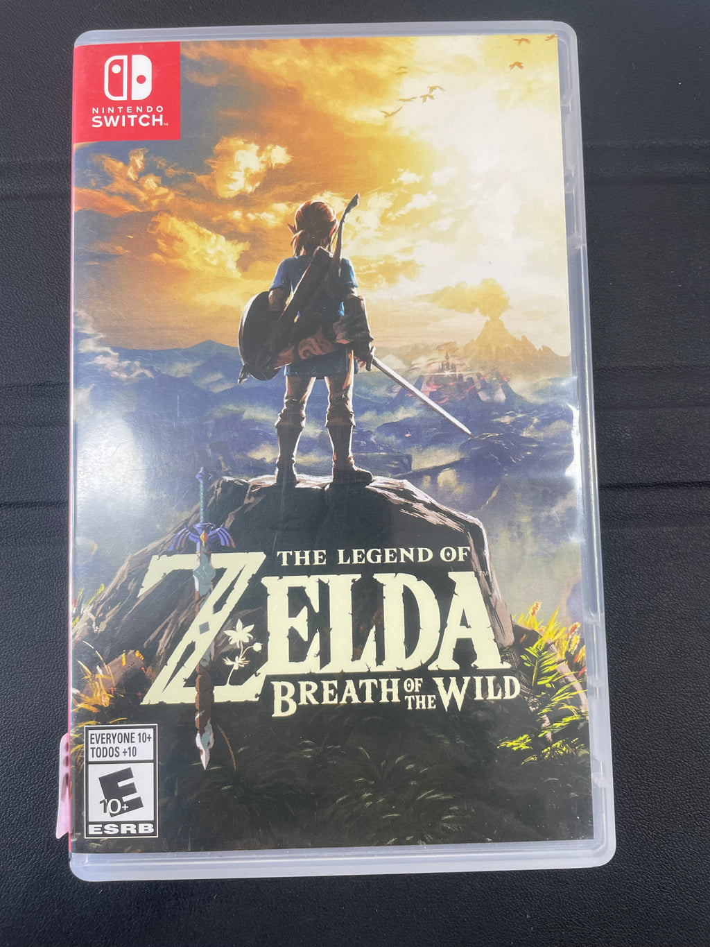The legend of Zelda breath of the wild