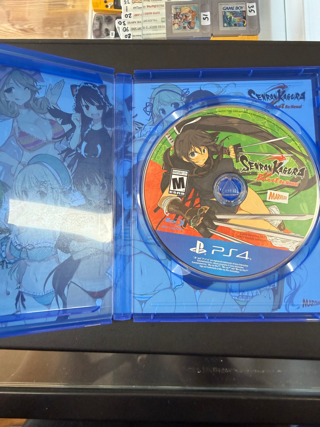 Senran Kagura Burst Re:Newal