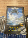 Ecco the Dolphin