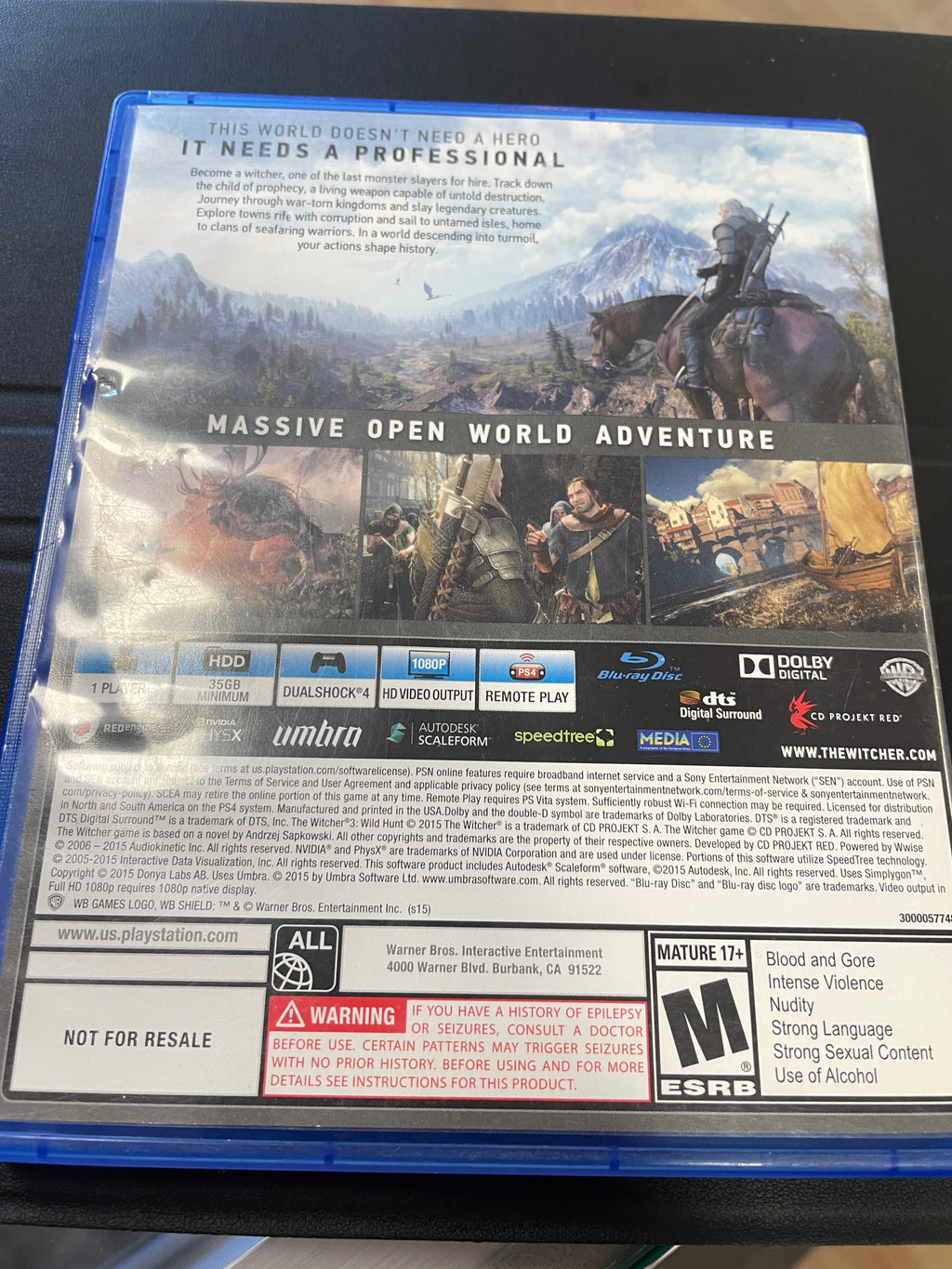 The Witcher 3 wild Hunt