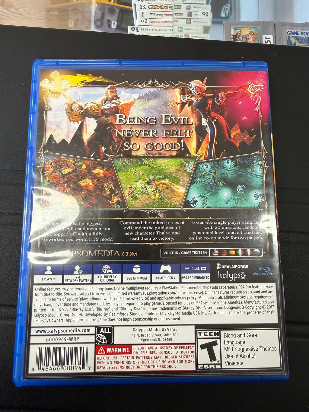 Dungeons III