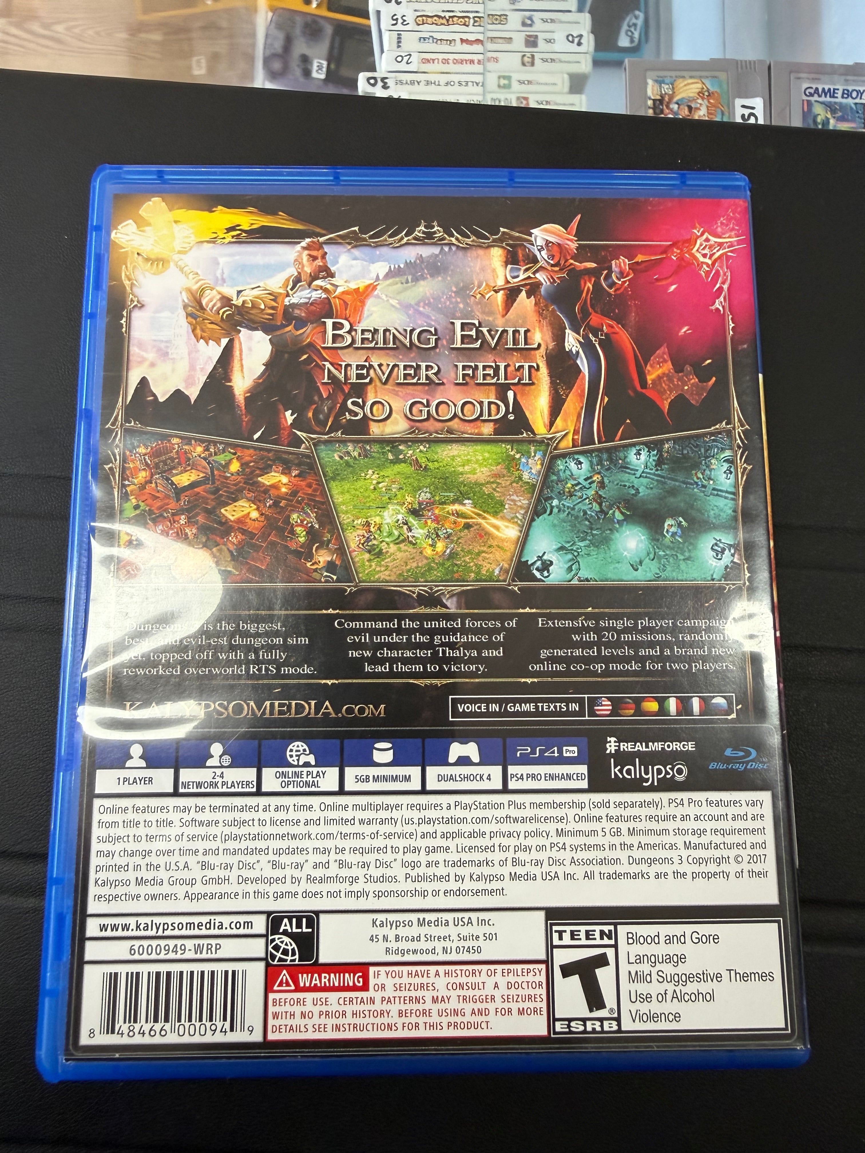 Dungeons III