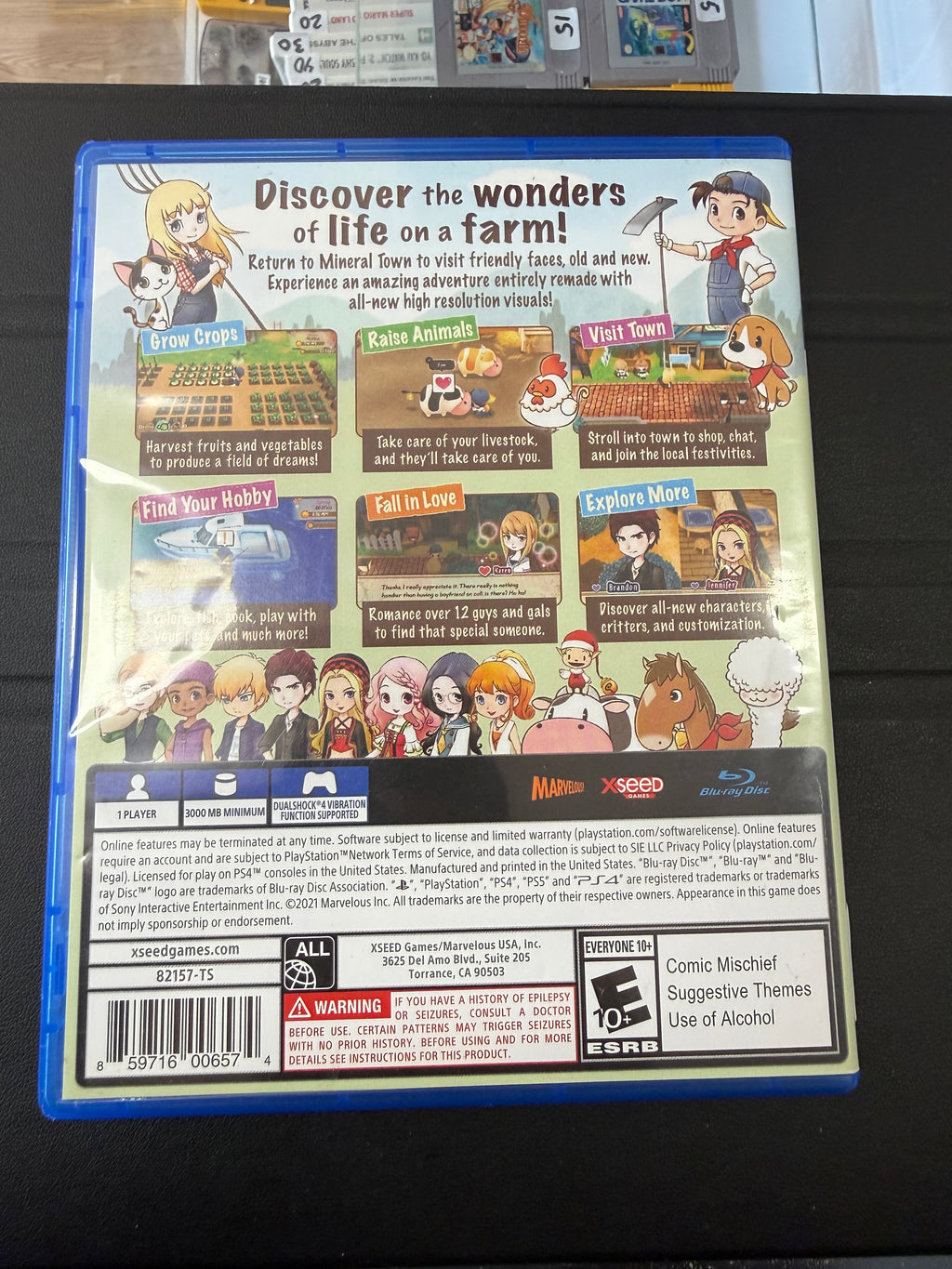 Story of Seasons: Friends of Mineral Town