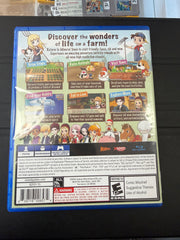 Story of Seasons: Friends of Mineral Town
