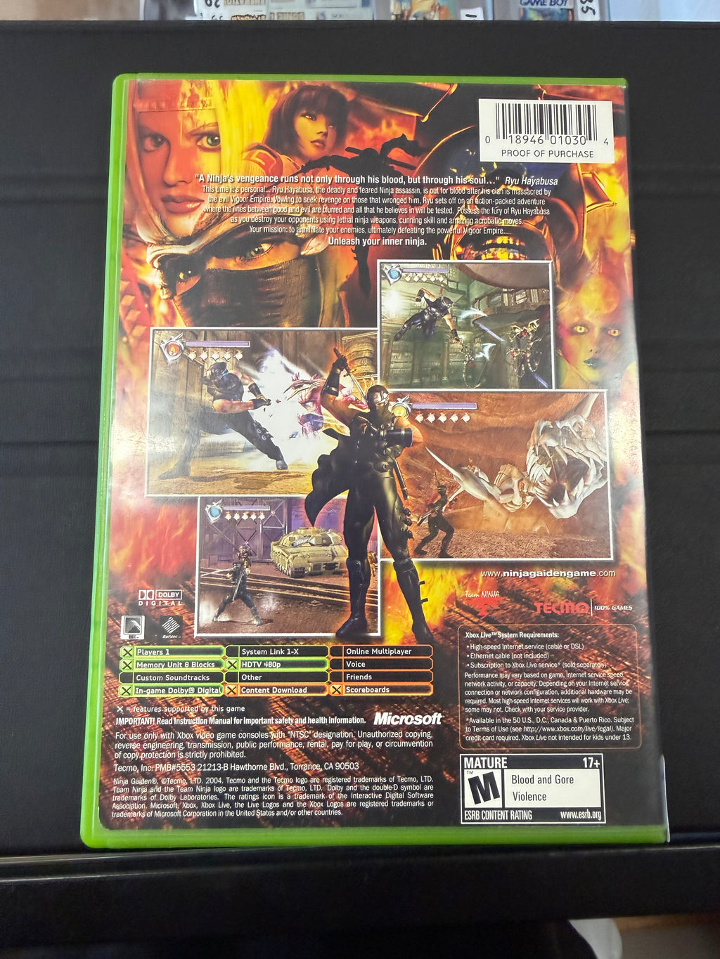 Ninja Gaiden