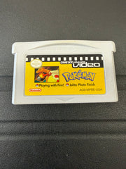 Pokémon: Playing With Fire! Johto Photo Finish