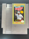 Lee Trevino's Fighting Golf