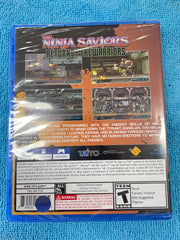 The Ninja Saviors Return Of The Warriors