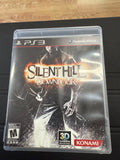 Silent Hill Downpour
