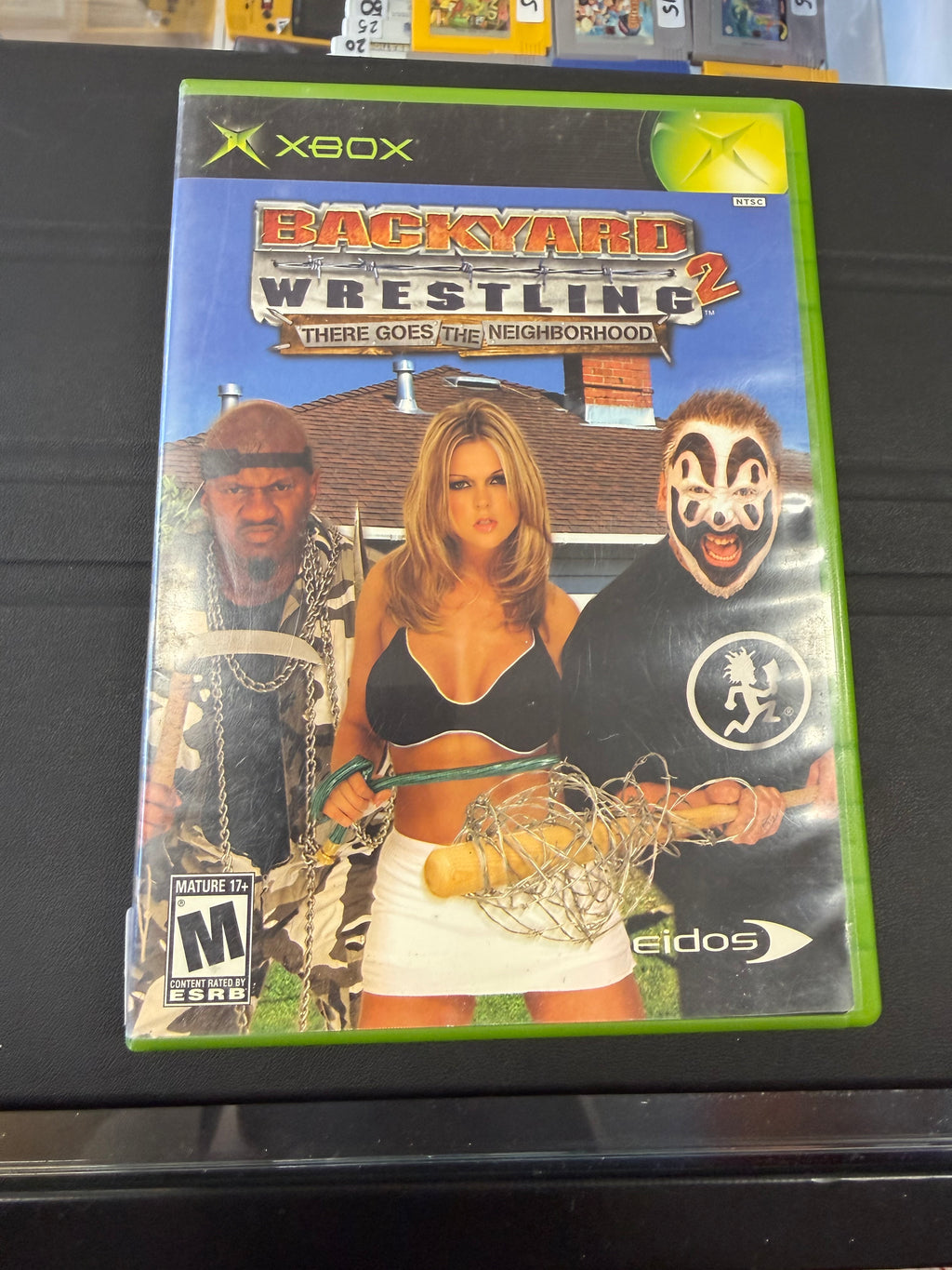 Backyard Wrestling 2