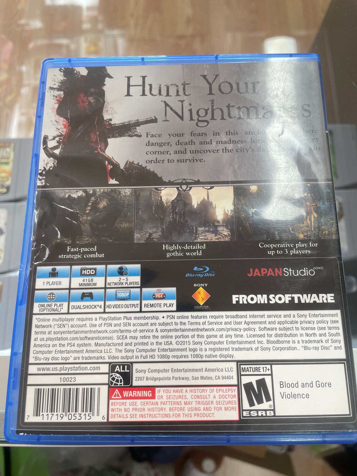 BloodBorne