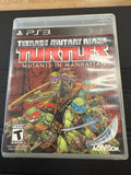 Teenage Mutant Ninja Turtles: Mutants In Manhattan