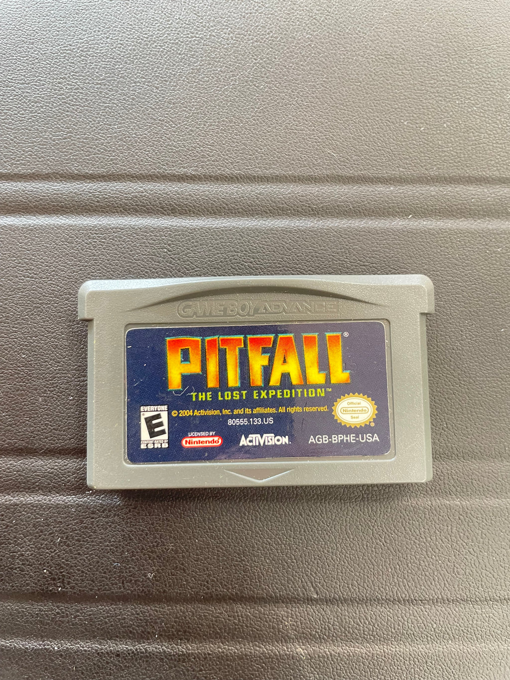 Pitfall The lost expedition