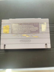 Super Adventure Island