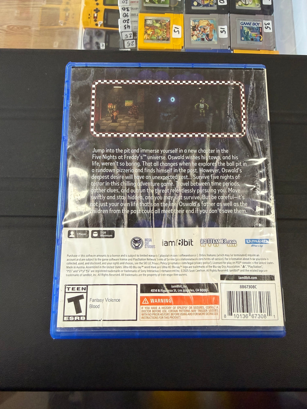 Five Nights At Freddy’s: Into The Pit