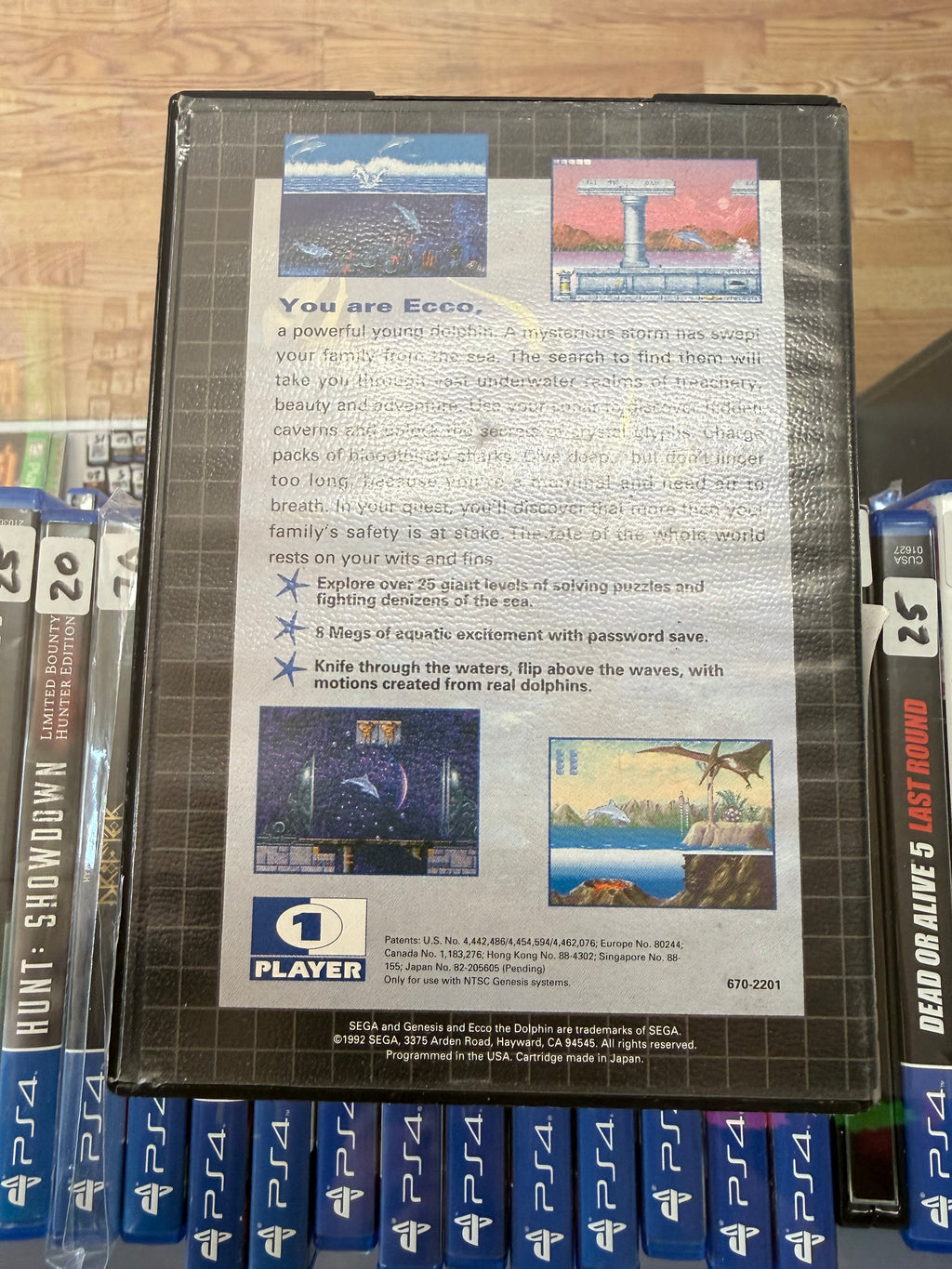 Ecco the Dolphin