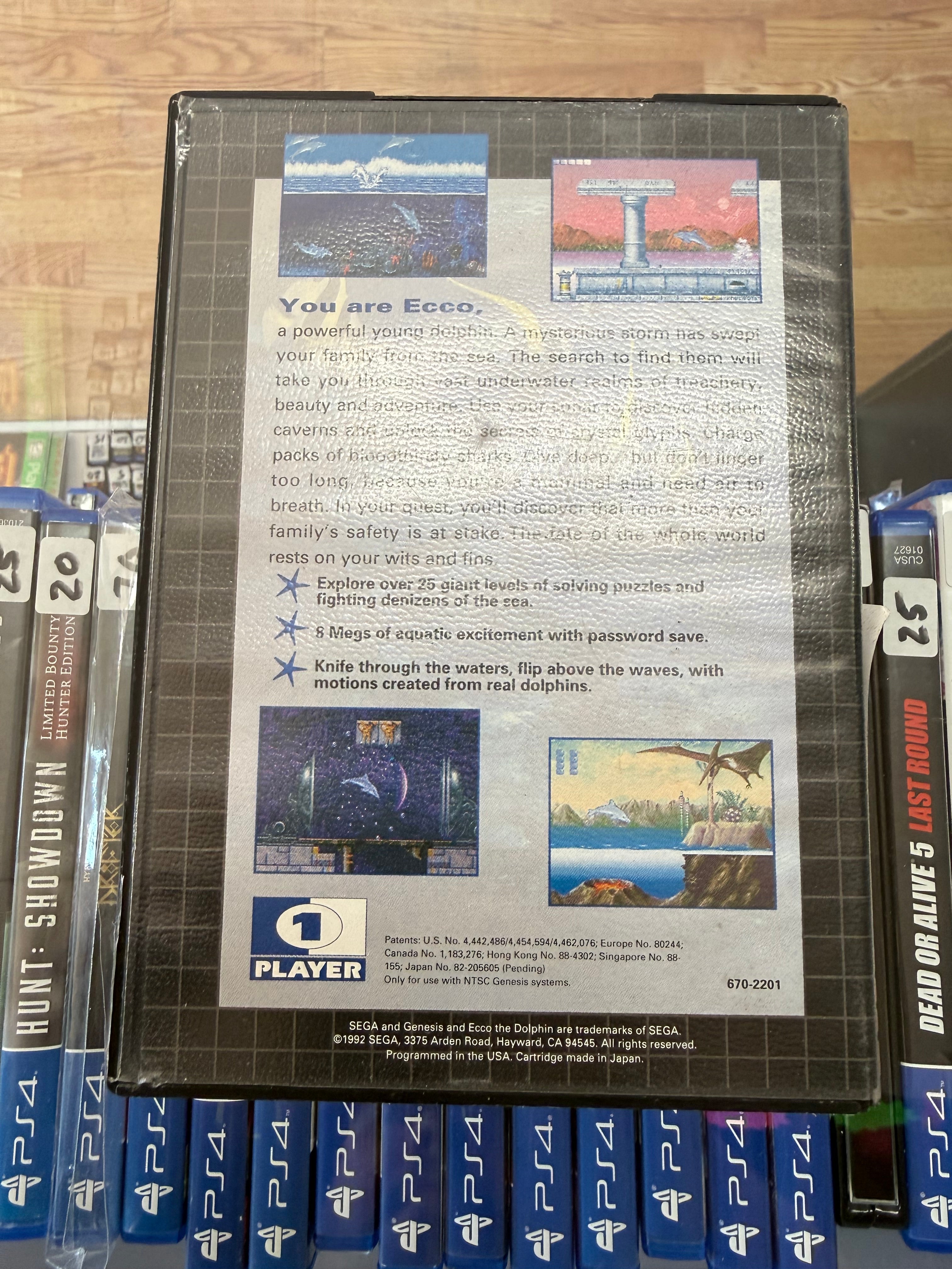 Ecco the Dolphin