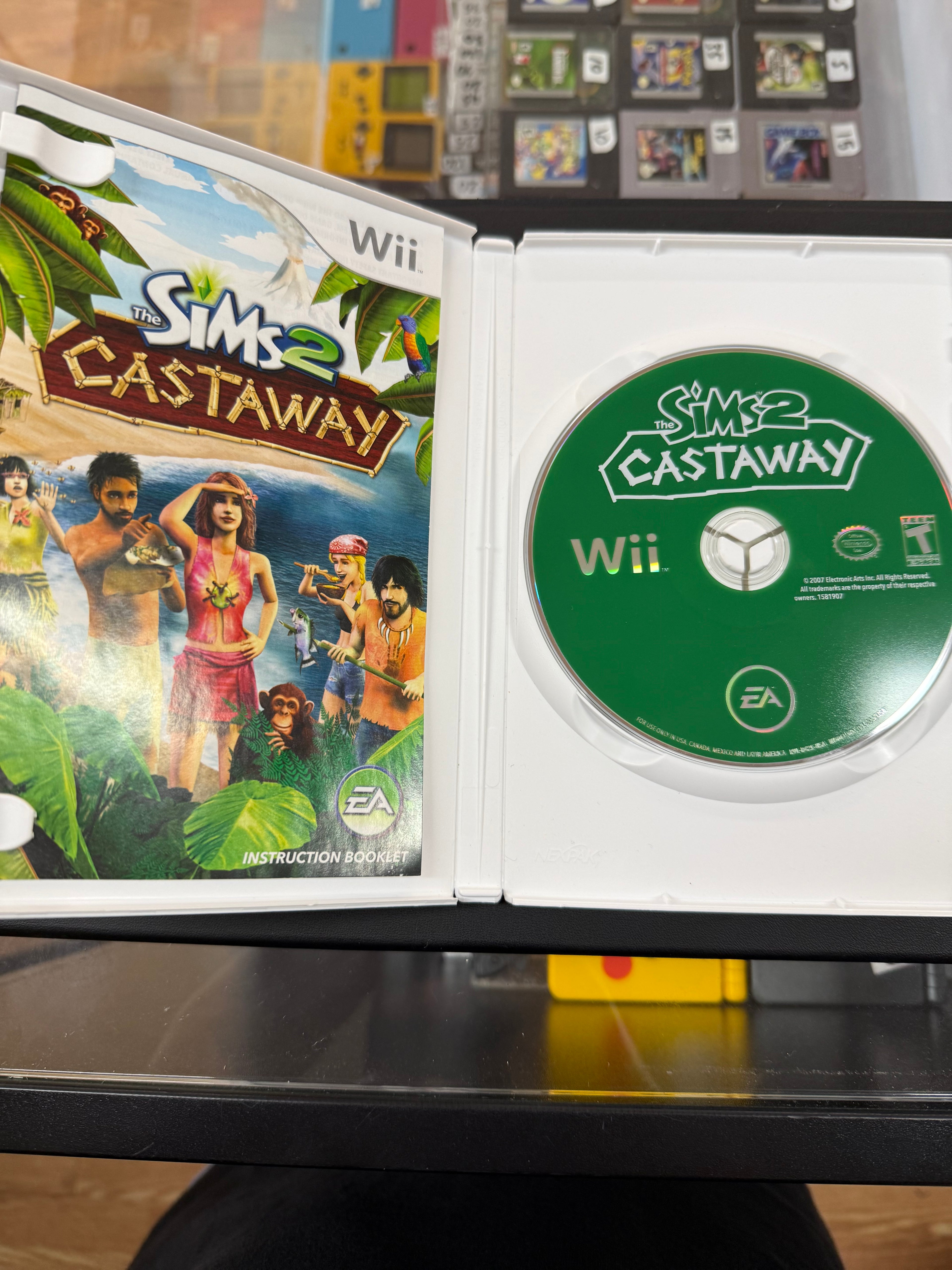 The Sims 2: Castaway