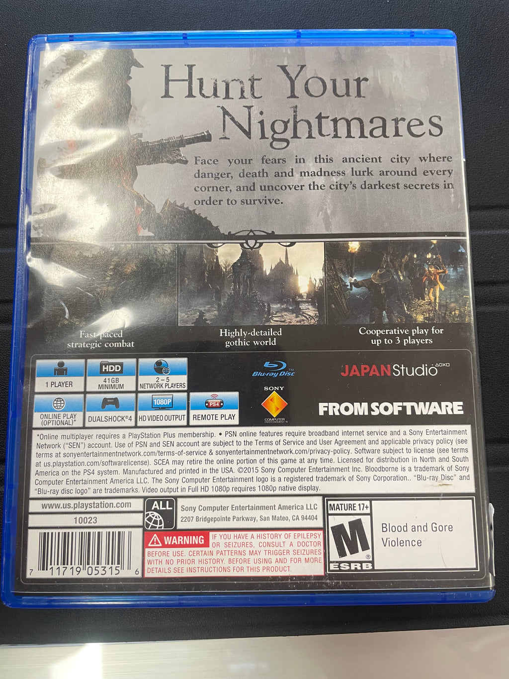 BloodBorne