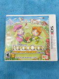 Return to PoPoLoCrois: A Story of Seasons Fairytale