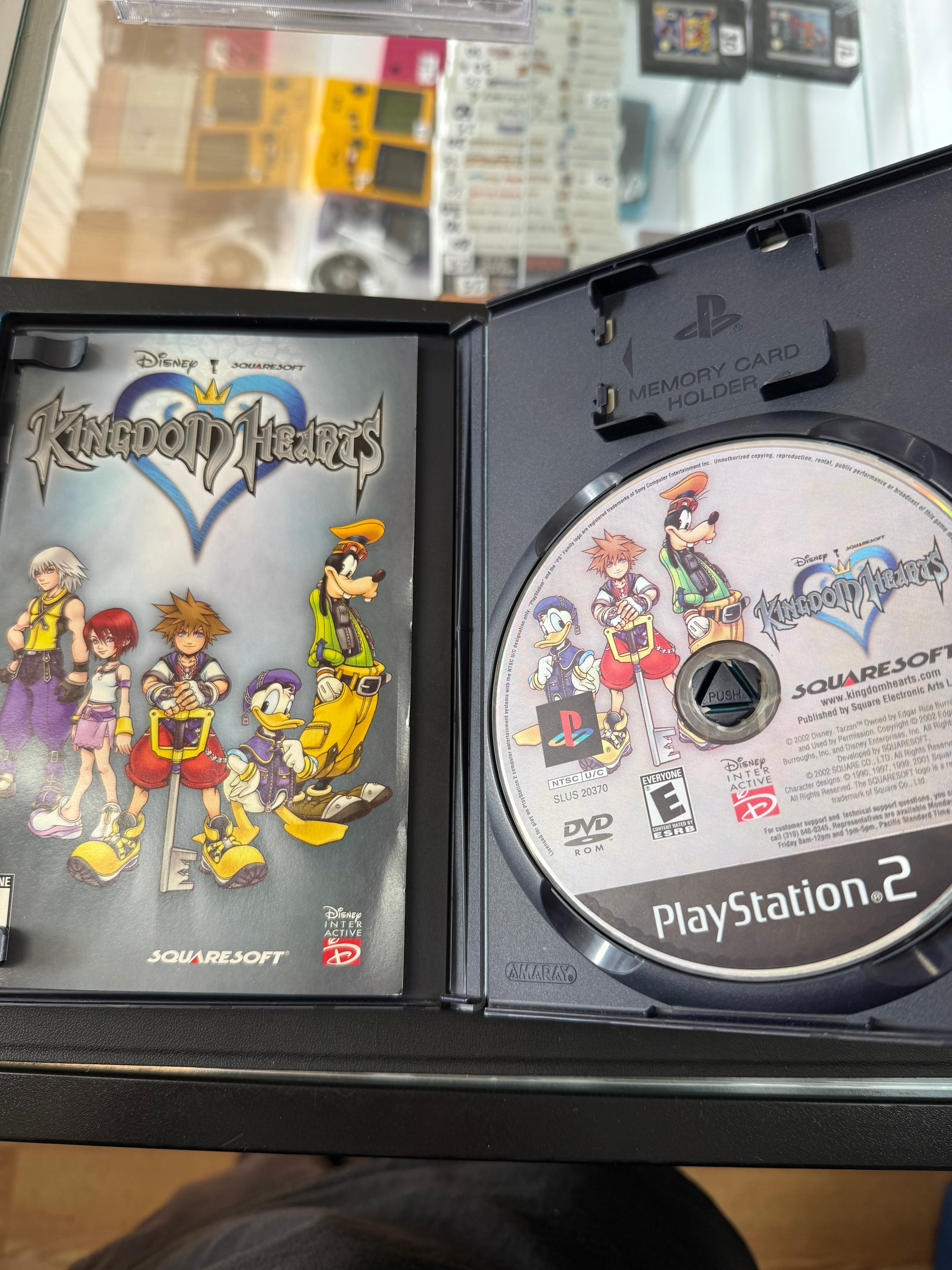 Kingdom Hearts