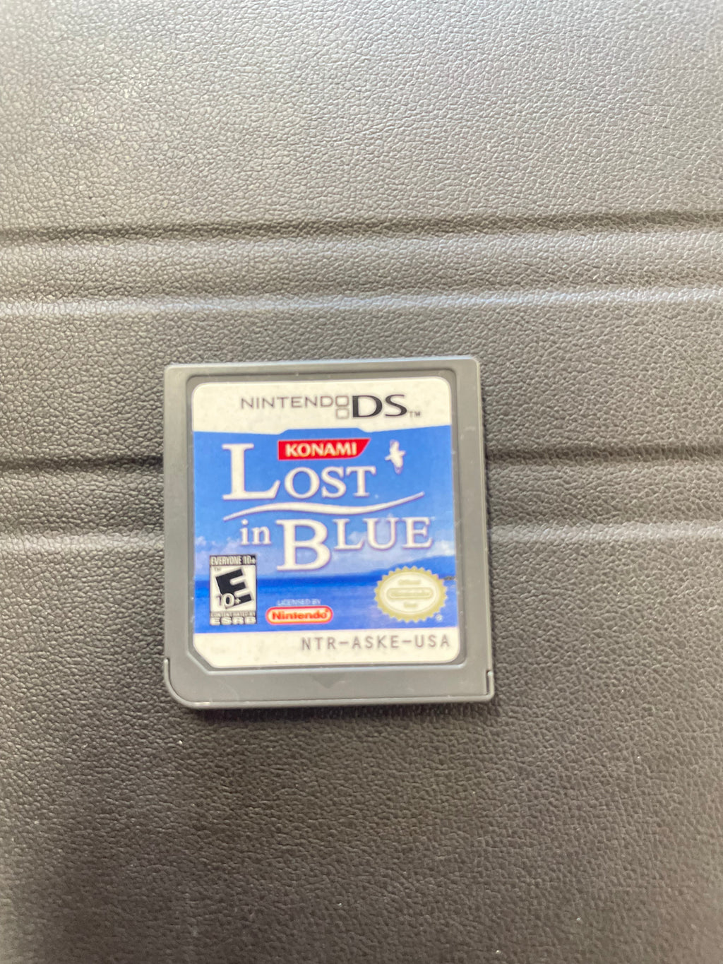 Lost in Blue