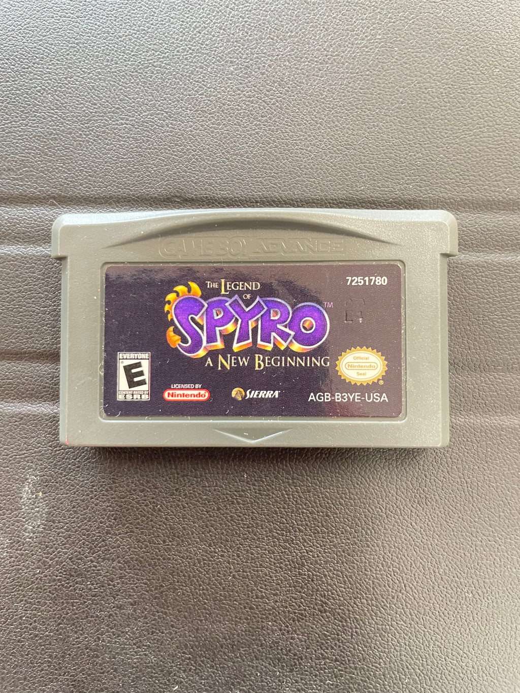 The Legend of Spyro A new Beginning
