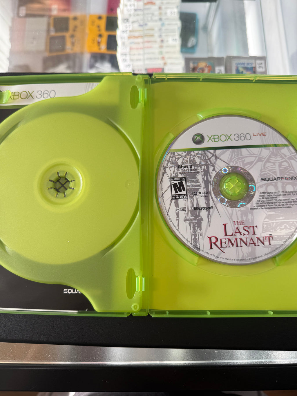 The Last Remnant