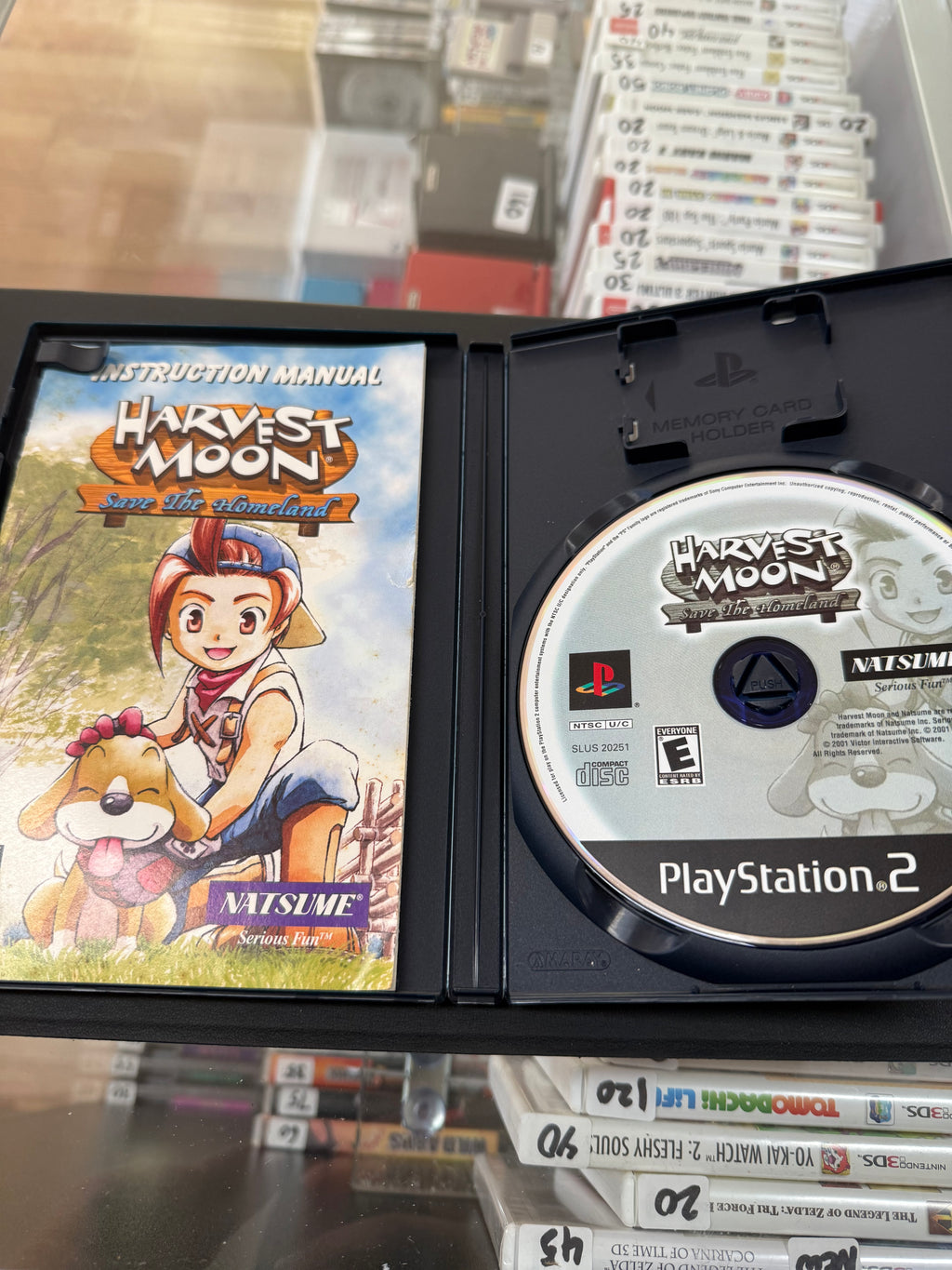 Harvest Moon Save the Homeland