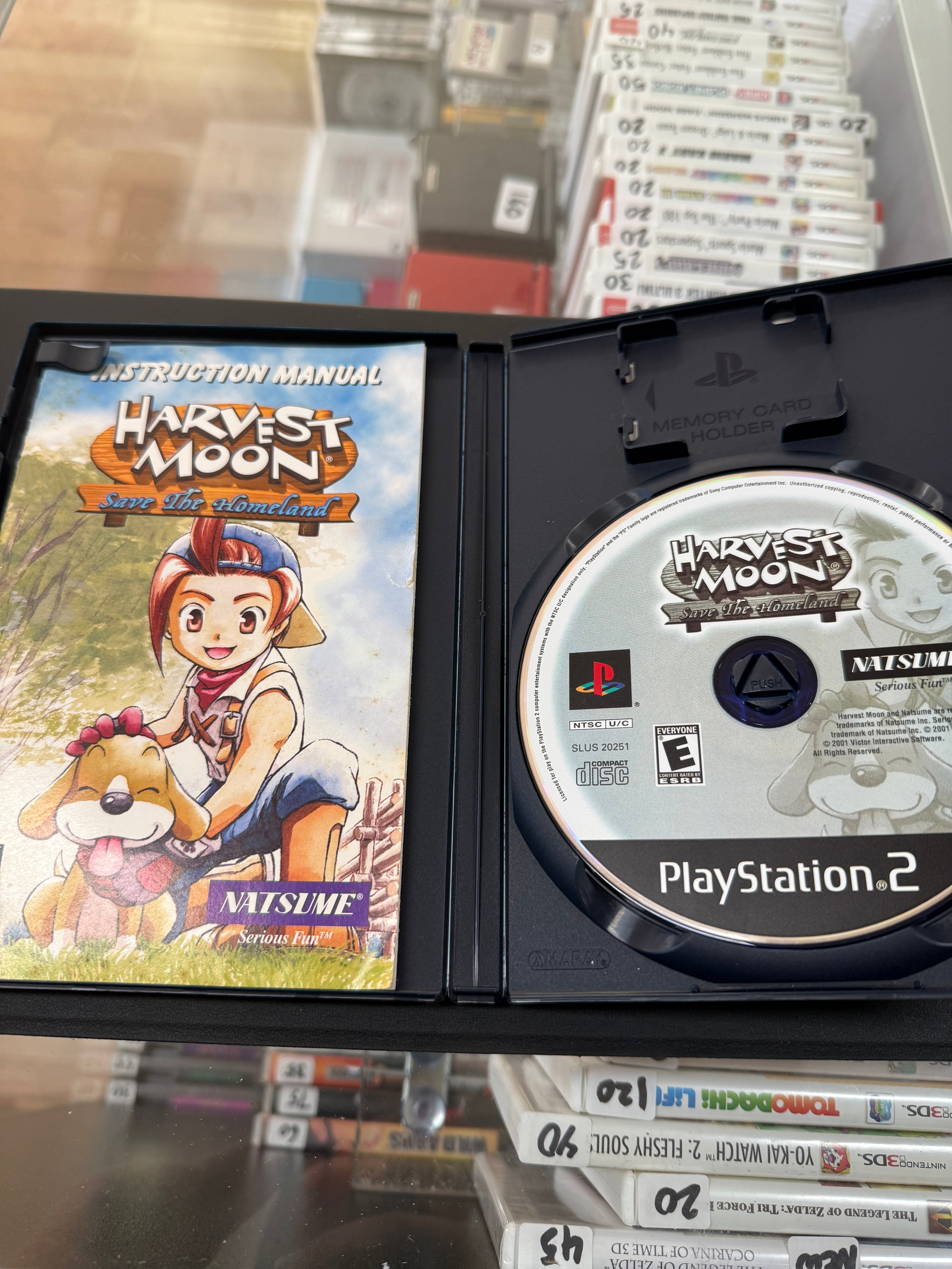 Harvest Moon Save the Homeland