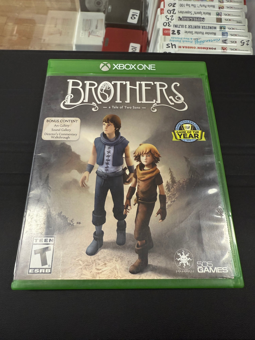 Brothers: A Tale of Two Sons
