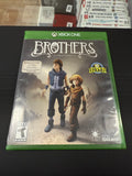 Brothers: A Tale of Two Sons
