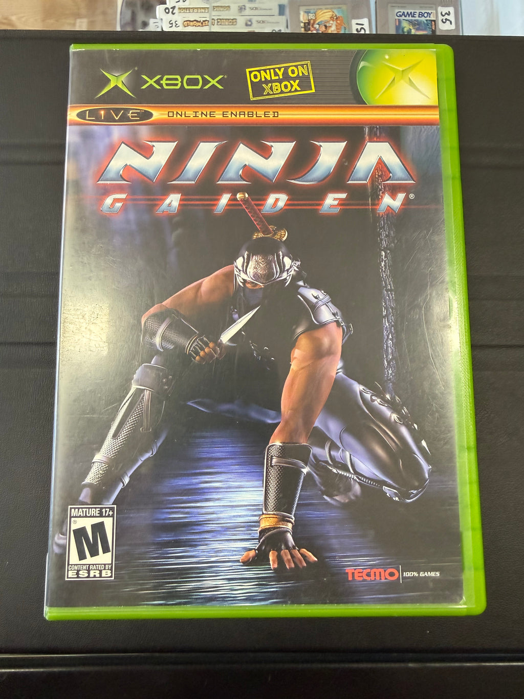 Ninja Gaiden