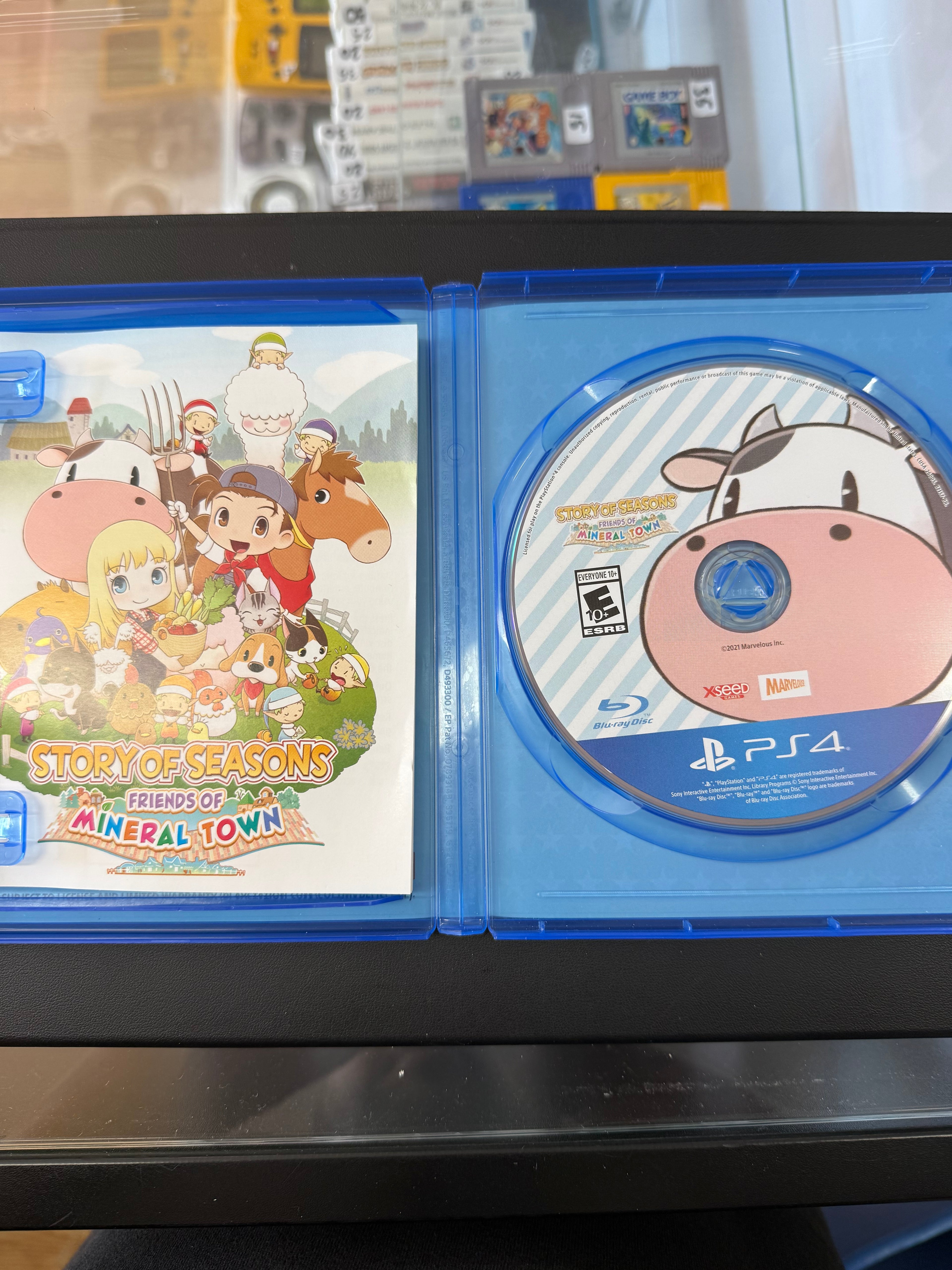 Story of Seasons: Friends of Mineral Town