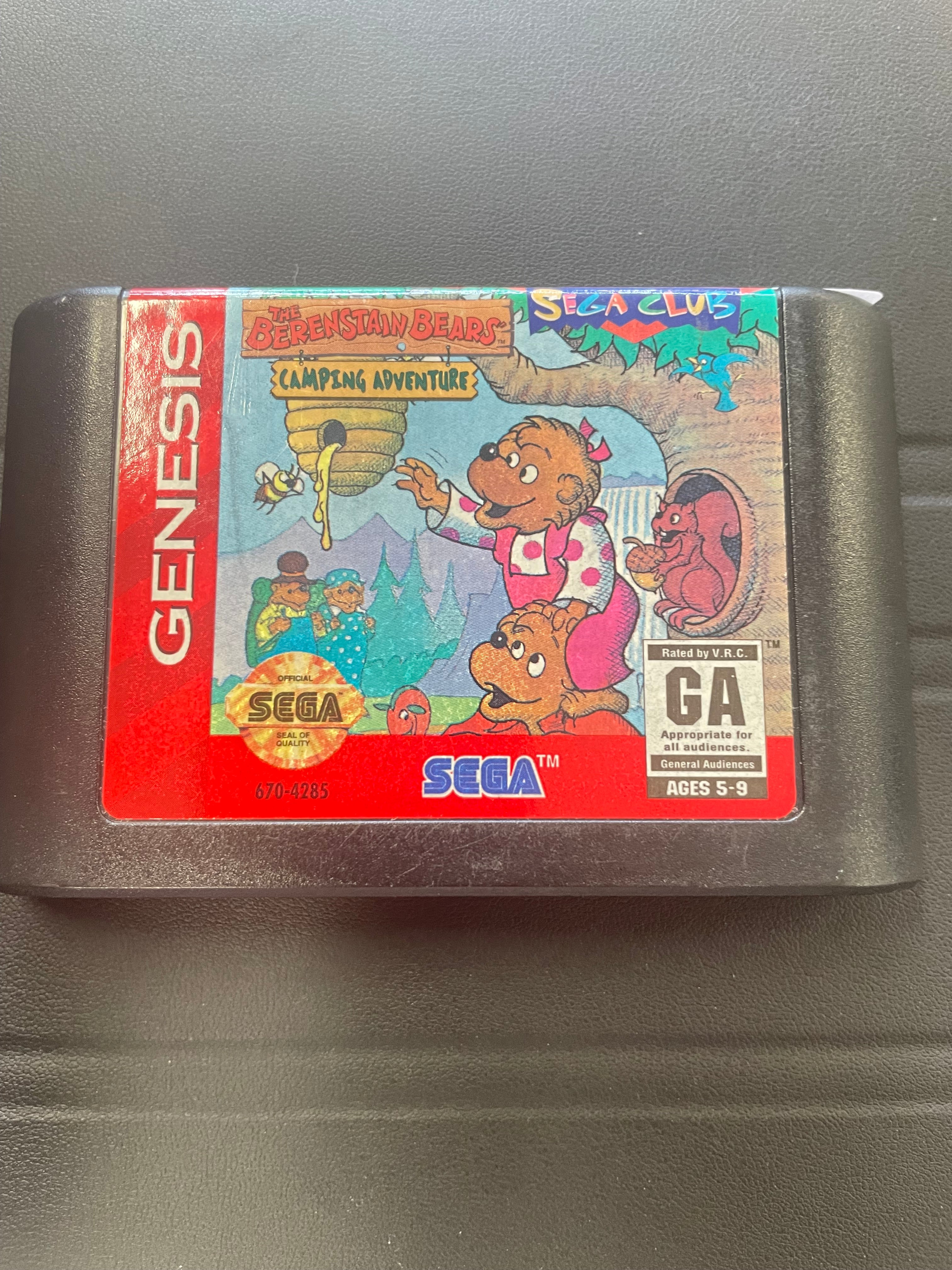 Berenstain Bears Camping Adventure