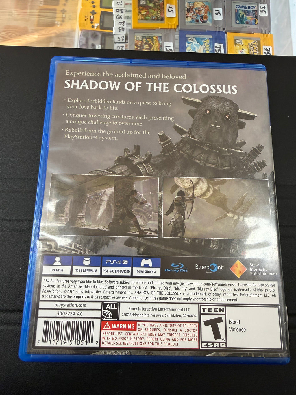 Shadow Of The Colossus