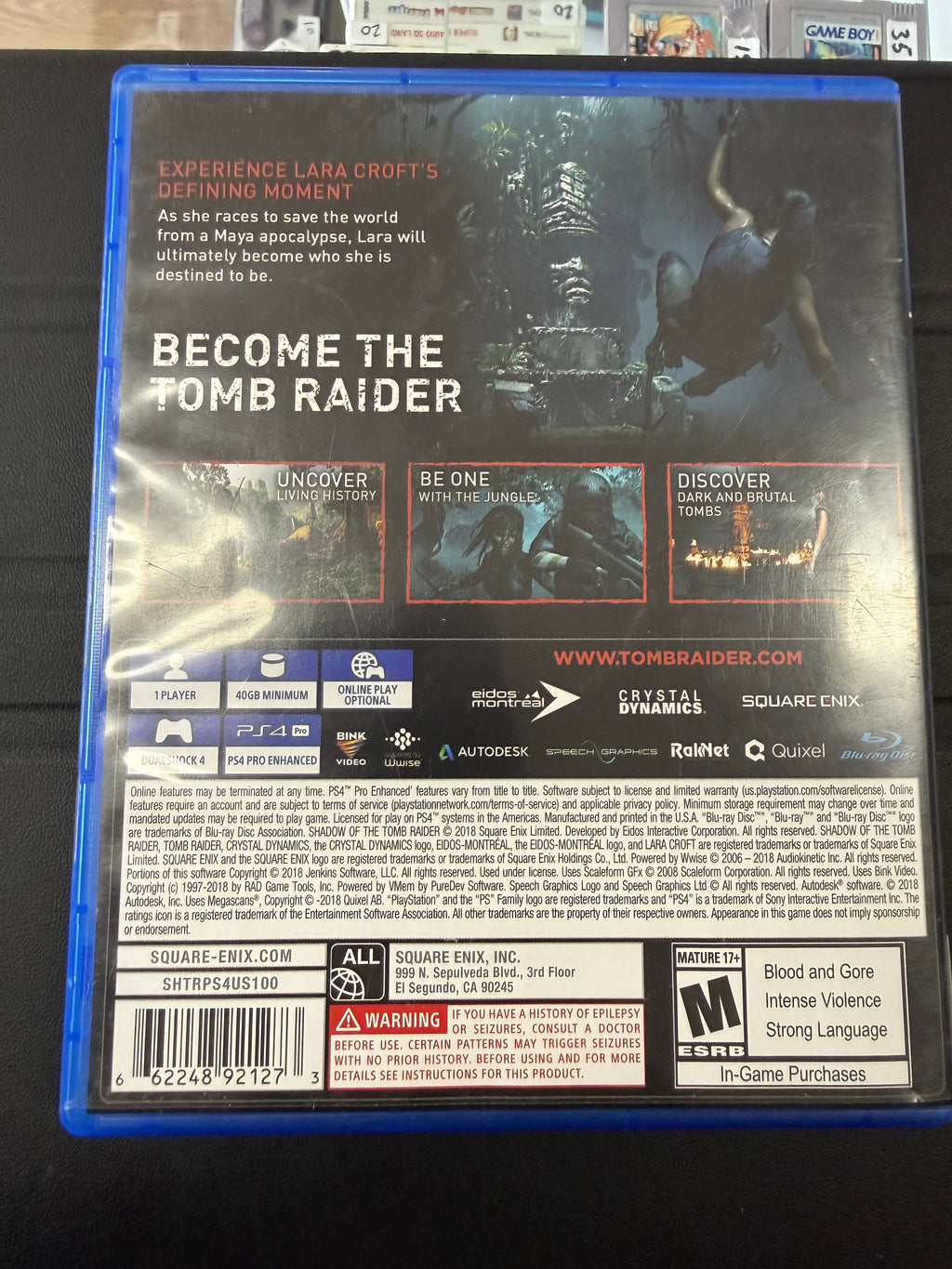 Shadow of The Tomb Raider