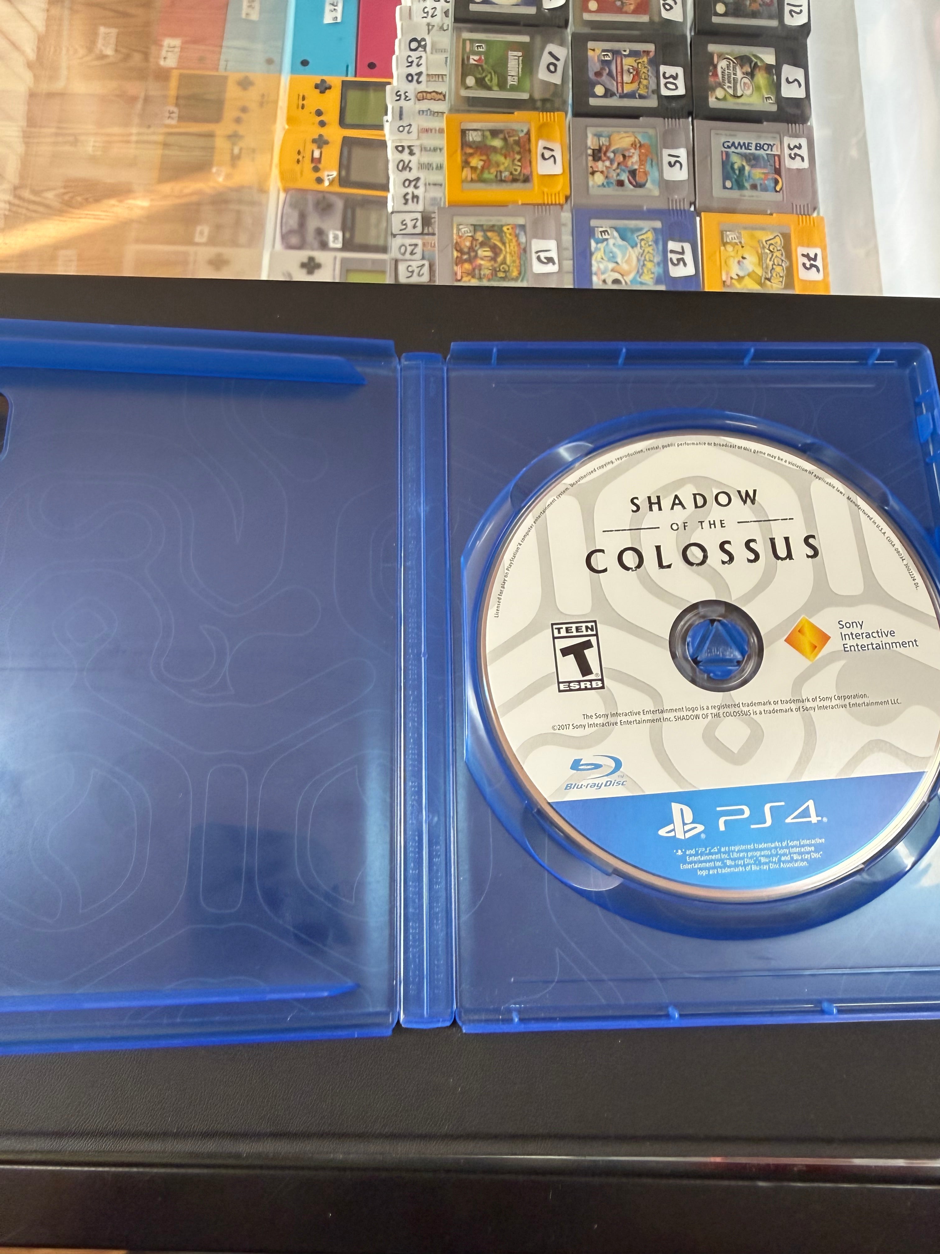 Shadow Of The Colossus
