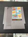 Super Mario Bros Duck Hunt World Class Track Meet