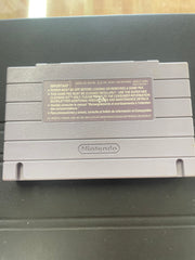 Teenage Mutant Ninja Turtles Tournament Fighters