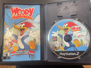 Woody Woodpecker: Escape From Buzz Buzzard Park