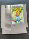 The adventure of Bayou Billy