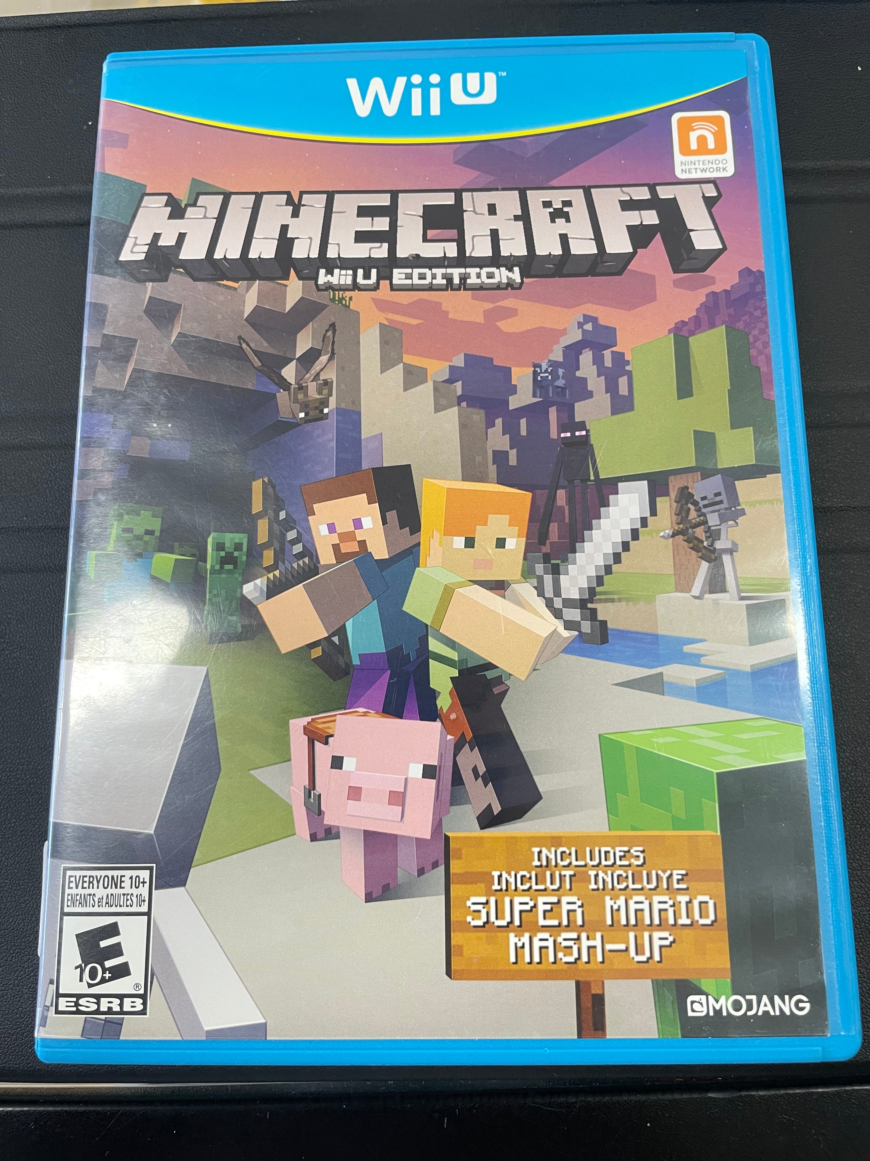 Minecraft Wii U Edition
