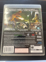 Turok