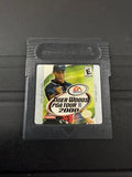 Tiger Woods PGA Tour 2000