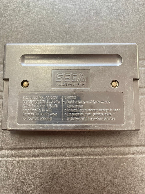 Blaster Master II