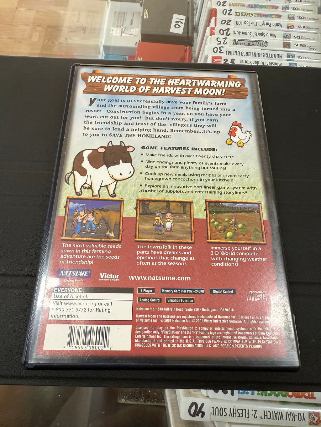 Harvest Moon Save the Homeland